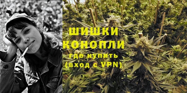спайс Мегион