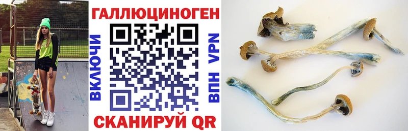 блэк спрут зеркало  Дыгулыбгей  Псилоцибиновые грибы мухоморы  где продают  