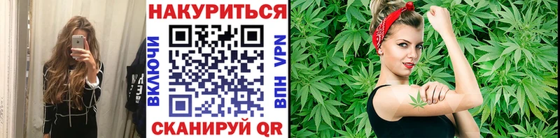 Конопля ГИДРОПОН  как найти   Дыгулыбгей 